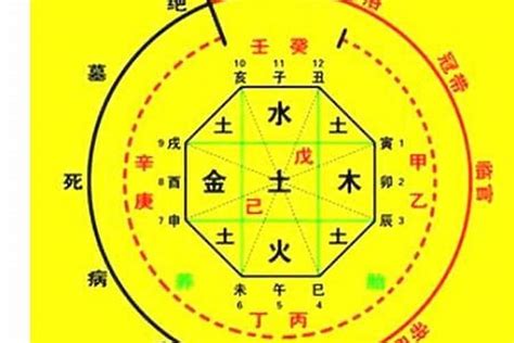 金神 八字|四柱神煞八字金神是什么？命带金神有什么寓意？